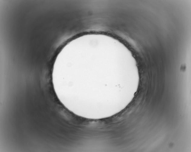 X0000103171160200809192110