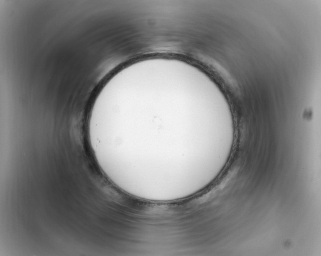 X0000103171162200809192110