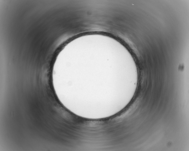 X0000103171163200809192110