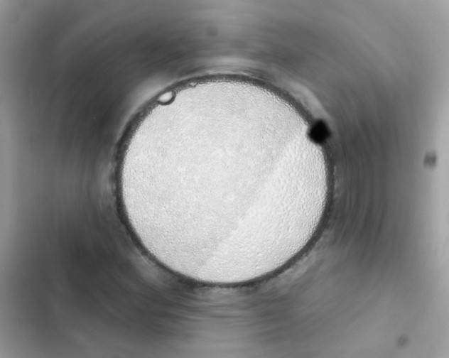 X0000103171164200809192110