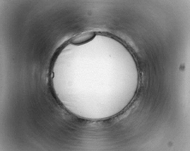 X0000103171165200809192110