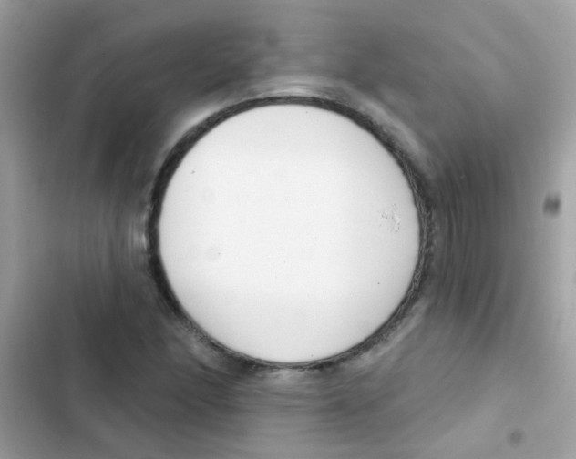 X0000103171166200809192110