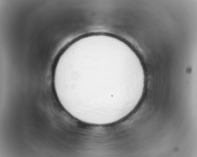 X0000103171167200809192110