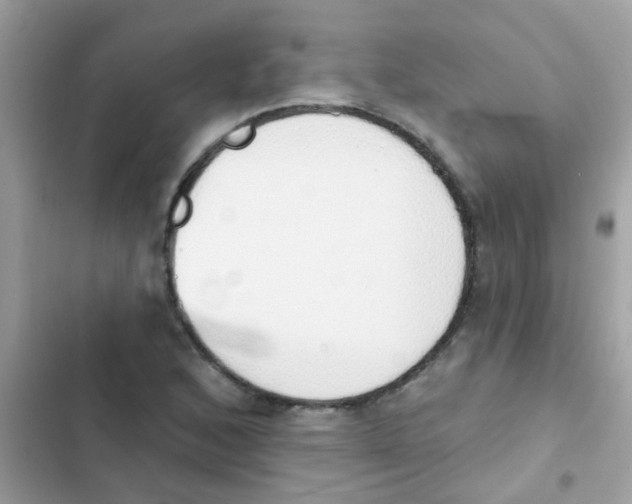 X0000103171168200809192110