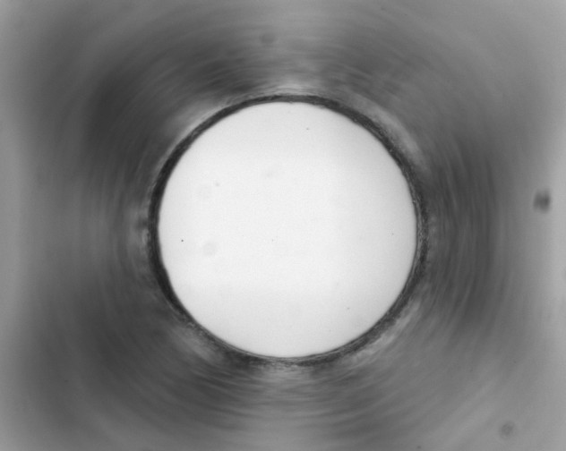 X0000103171170200809192110