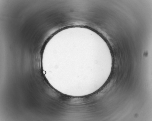 X0000103171171200809192110