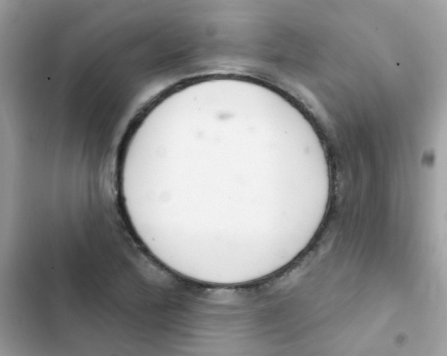 X0000103171172200809192110