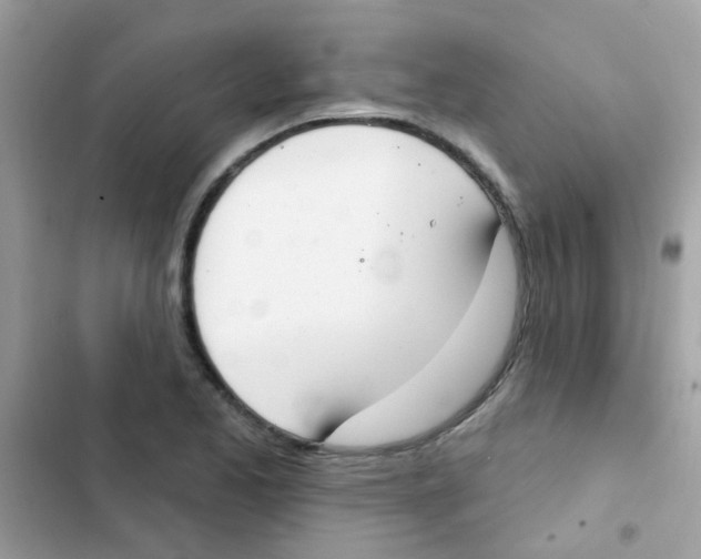 X0000103171173200809192110