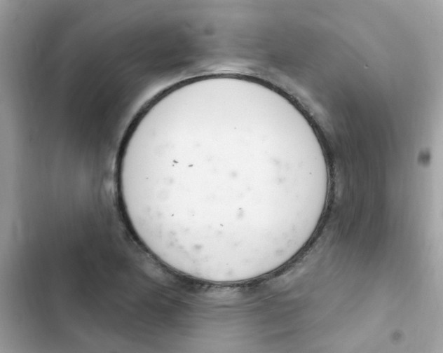 X0000103171174200809192110