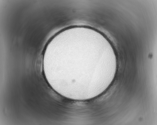 X0000103171175200809192110