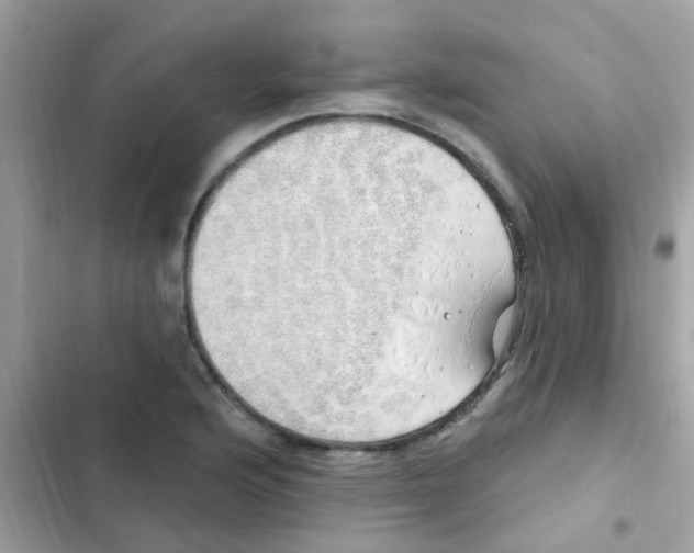 X0000103171176200809192110