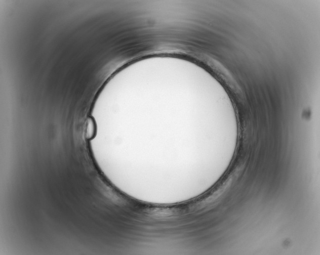 X0000103171177200809192110