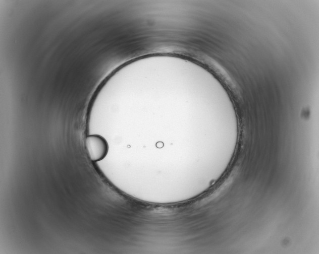 X0000103171178200809192110