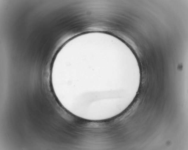 X0000103171179200809192110