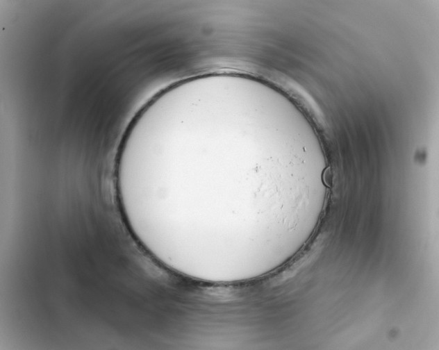 X0000103171182200809192110