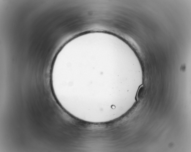 X0000103171183200809192110