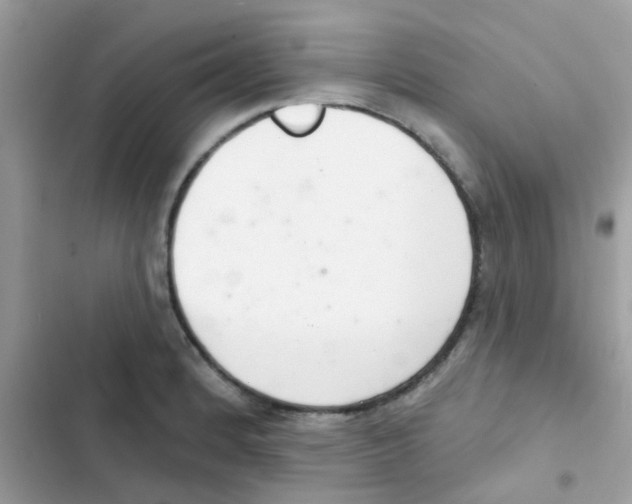 X0000103171184200809192110