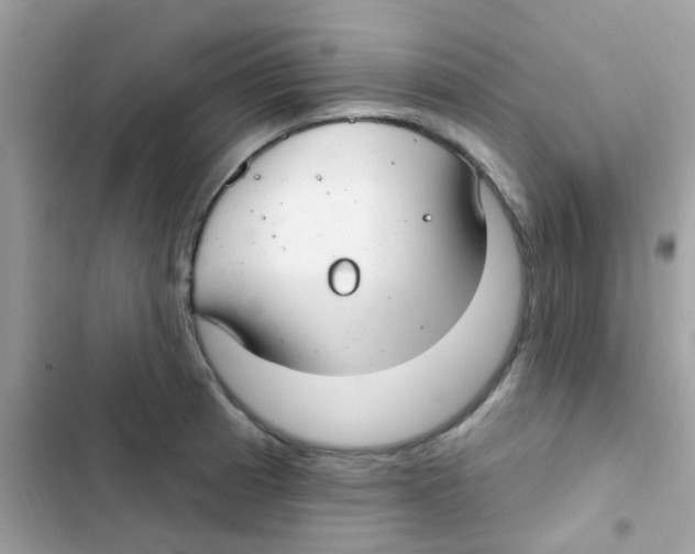 X0000103171185200809192110