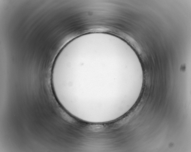 X0000103171186200809192110