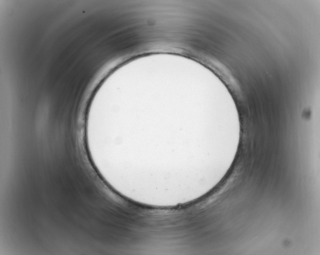 X0000103171188200809192110