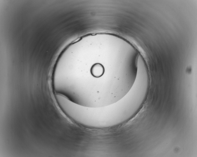 X0000103171189200809192110