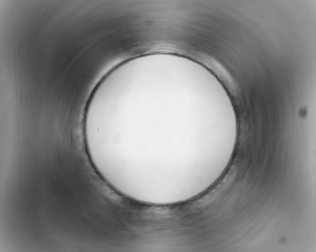 X0000103171190200809192110