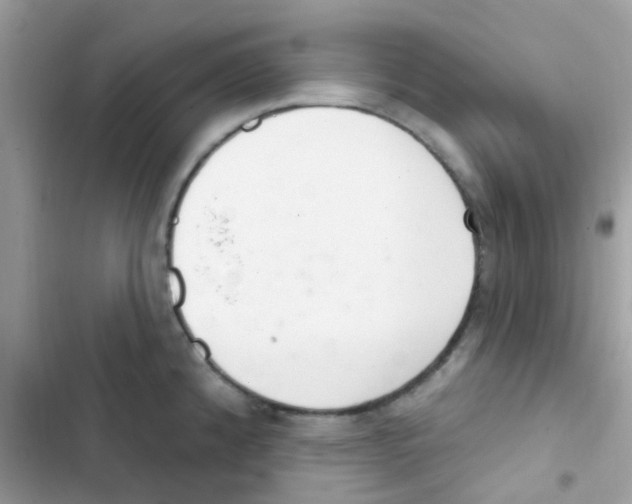 X0000103171192200809192109