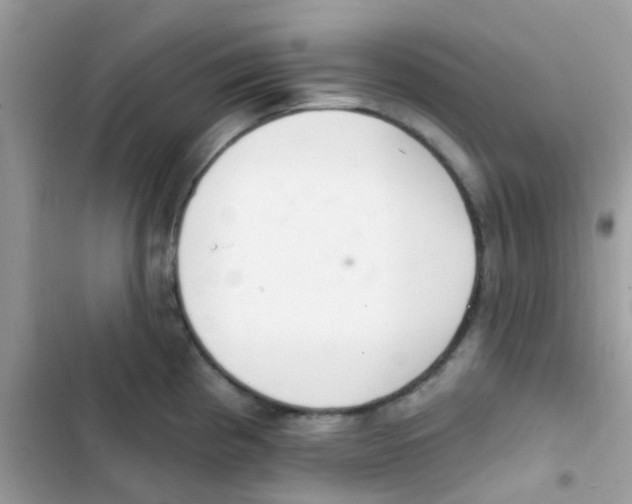 X0000103171193200809192109