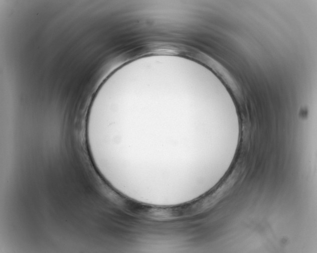 X0000103171194200809192109