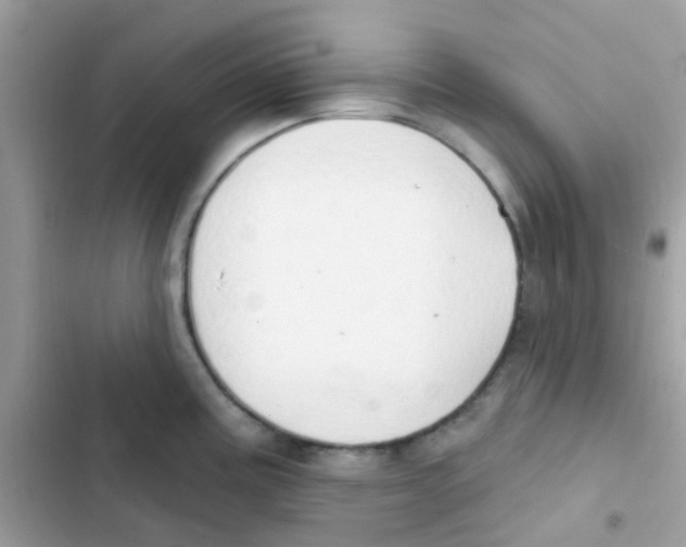 X0000103171195200809192109