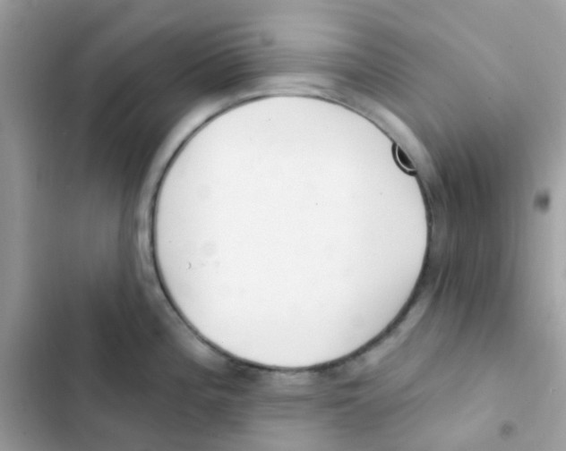 X0000103171196200809192109