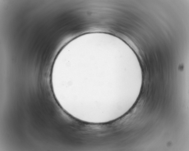 X0000103171197200809192109