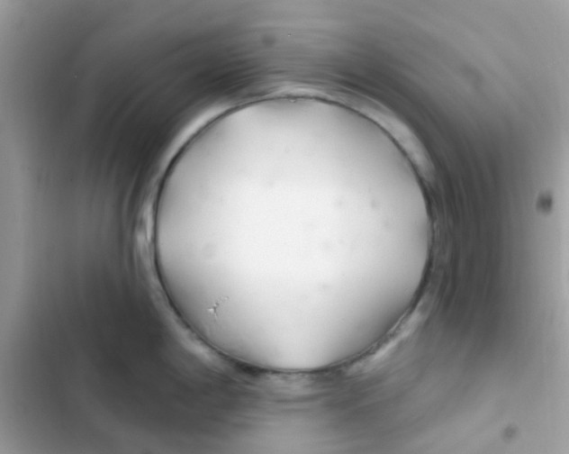 X0000103171198200809192109