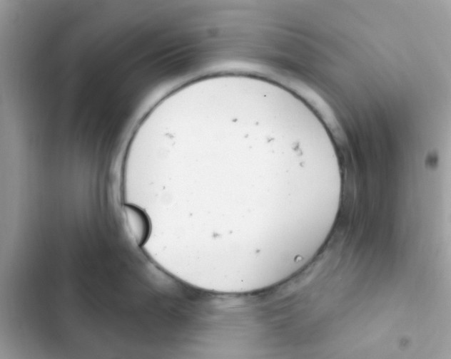 X0000103171199200809192109