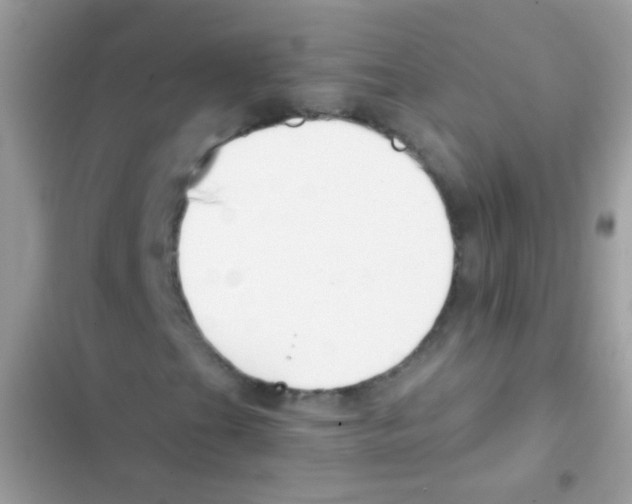 X0000103171201200809192109