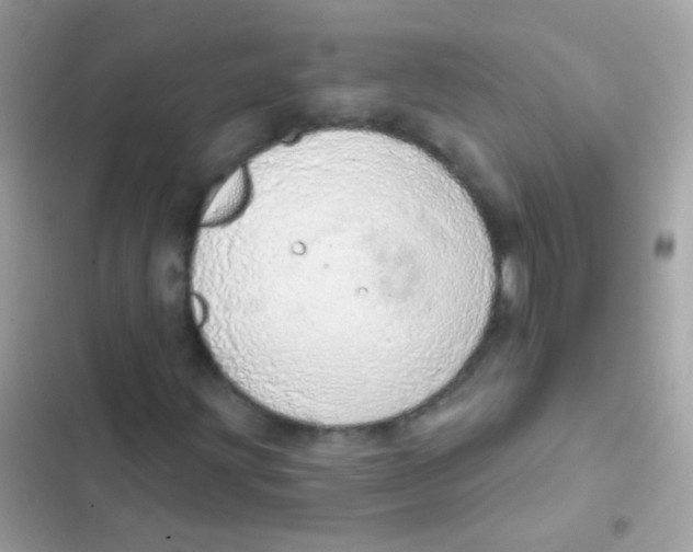 X0000103171203200809192109