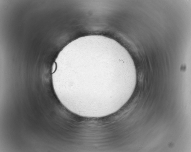 X0000103171204200809192109