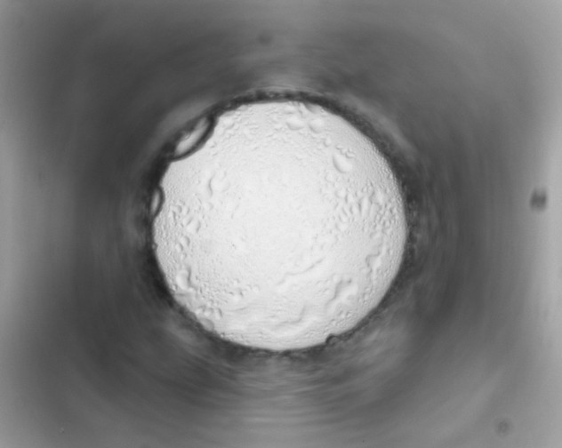 X0000103171207200809192109