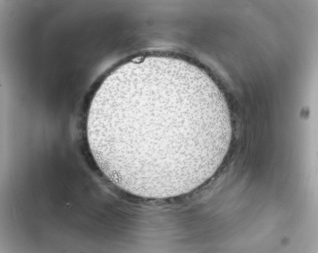 X0000103171208200809192109