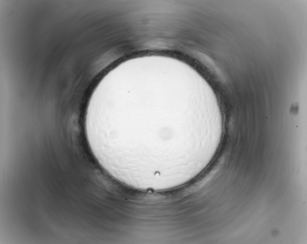 X0000103171209200809192109