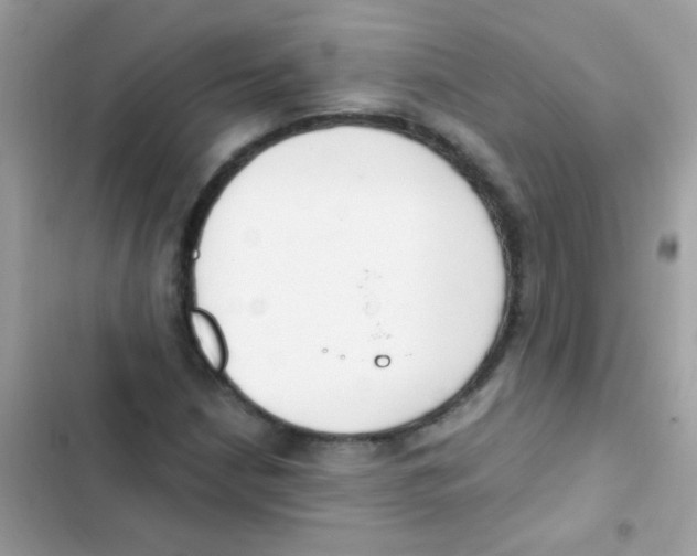 X0000103171210200809192109