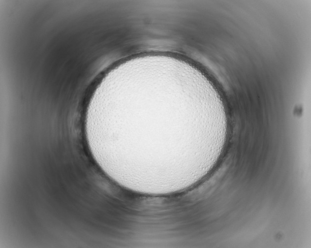 X0000103171211200809192109