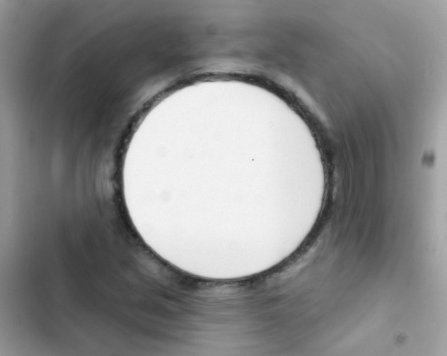 X0000103171213200809192109