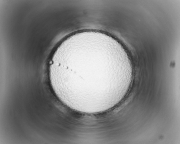 X0000103171215200809192109