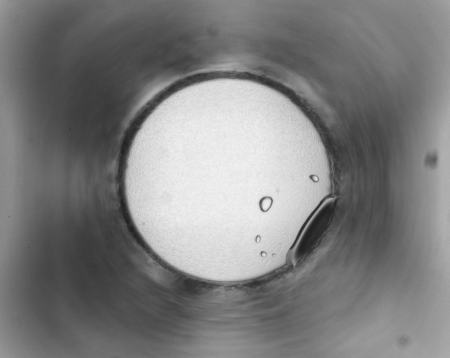 X0000103171216200809192109