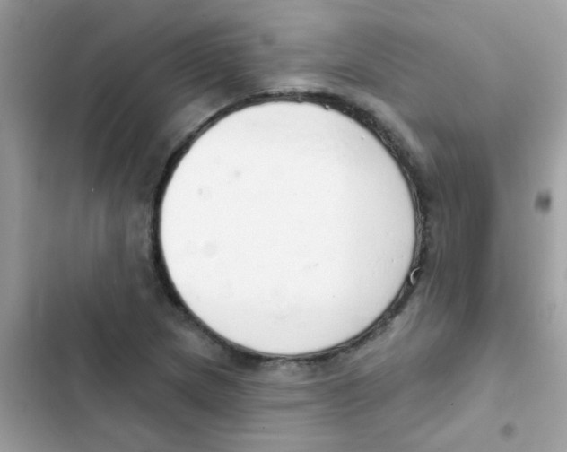 X0000103171217200809192109