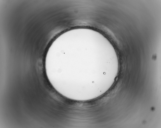 X0000103171218200809192109