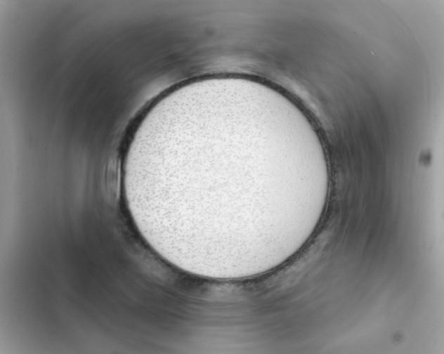 X0000103171219200809192109