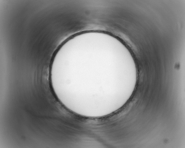 X0000103171220200809192109