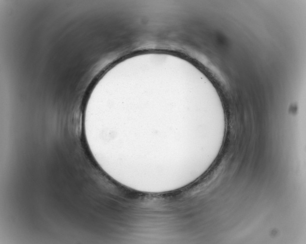 X0000103171221200809192109